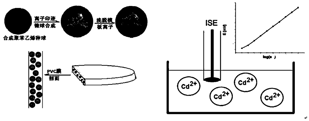 High-selectivity cadmium ion selecting electrode and preparation method thereof