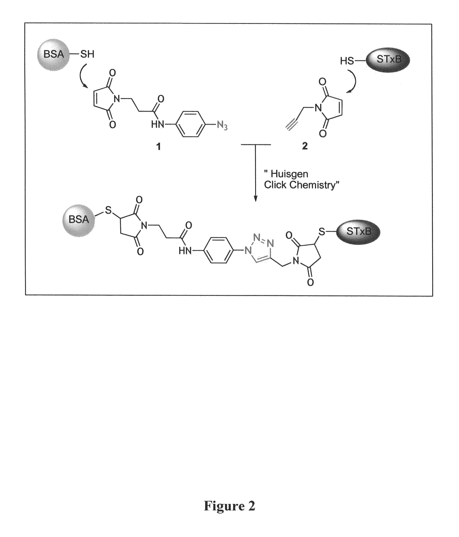 Methods and compositions for the preparation and use of toxin conjugates