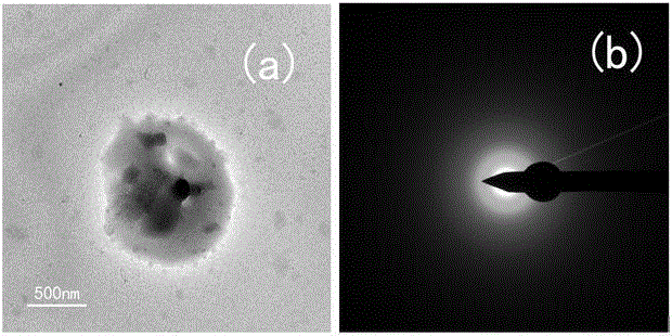 Method for searching blind core deposit by utilizing carbonic particles