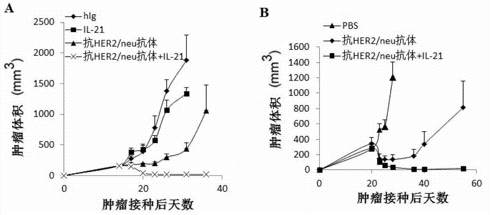 Interleukin 21 (IL-21) medicine for cancer therapy