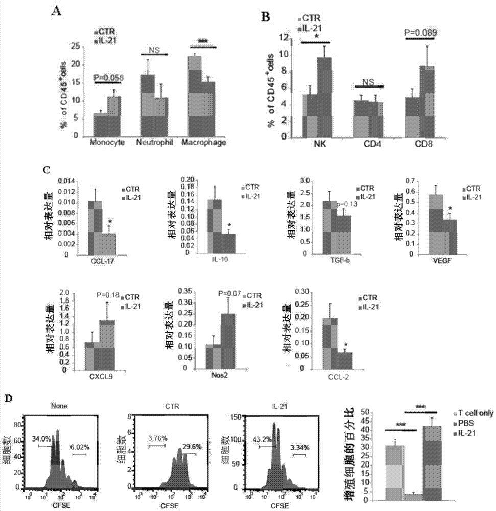 Interleukin 21 (IL-21) medicine for cancer therapy