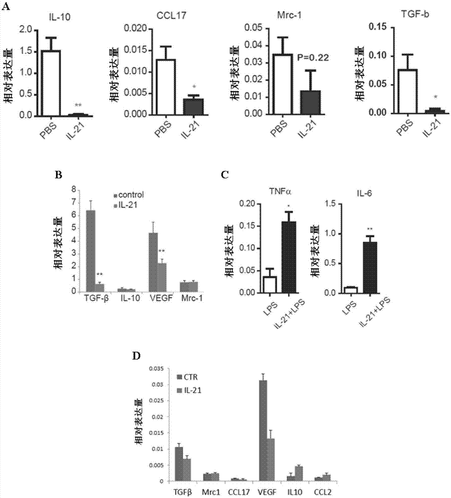 Interleukin 21 (IL-21) medicine for cancer therapy