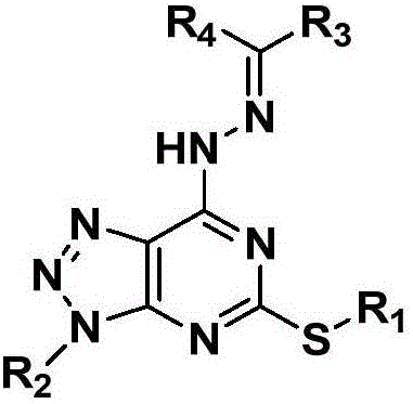 Pyrimidotriazole compounds containing hydrazone bonds as well as preparation method and application of pyrimidotriazole compounds