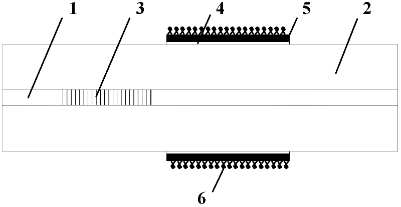 Fiber surface plasmon resonance glucose sensor with temperature self-compensation