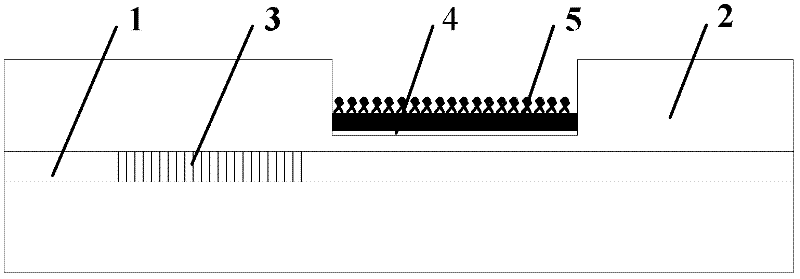 Fiber surface plasmon resonance glucose sensor with temperature self-compensation