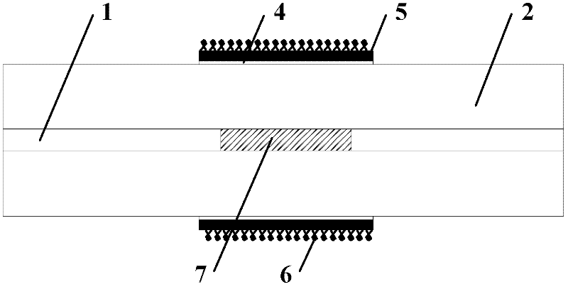 Fiber surface plasmon resonance glucose sensor with temperature self-compensation