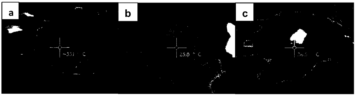 Ultra-light, ultra-thin, flexible and breathable ultra-fine fiber composite membrane with multi-spectrum electromagnetic wave protection performance and preparation method thereof