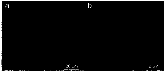 Graphene paper and preparation method and application thereof