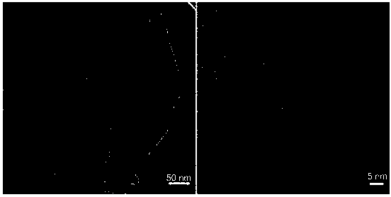 Graphene paper and preparation method and application thereof