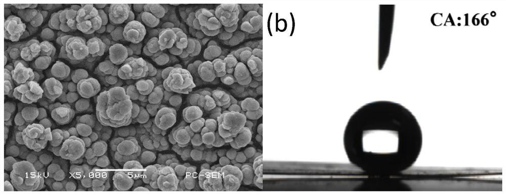 Method for preparing super-hydrophobic Zn-Fe alloy coating through electro-deposition in eutectic ionic liquid