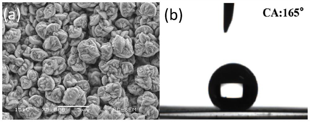 Method for preparing super-hydrophobic Zn-Fe alloy coating through electro-deposition in eutectic ionic liquid