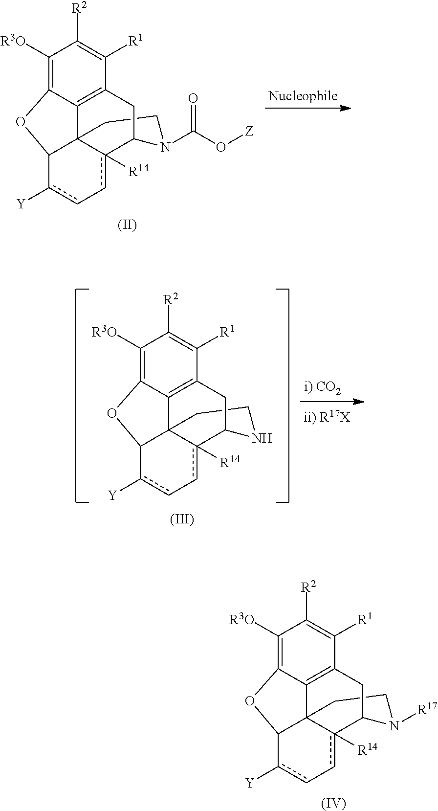 Tandem Process for Preparing N-Alkyl Morphinans