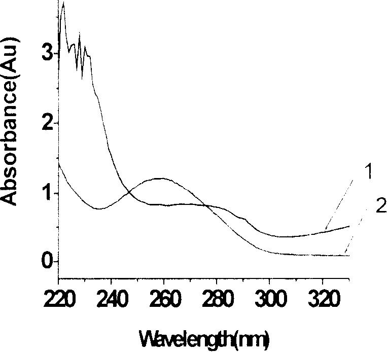 Method for purifying DNA by using gold magnetism particles