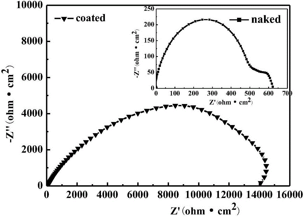 Method for preparing strontium-doped calcium phosphate coating on surface of magnesium alloy through one-step hydrothermal method