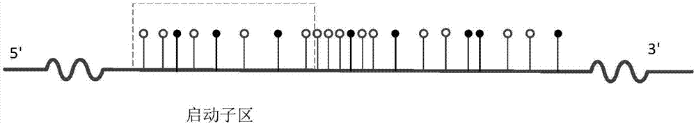 Method for identifying cancer biomarkers