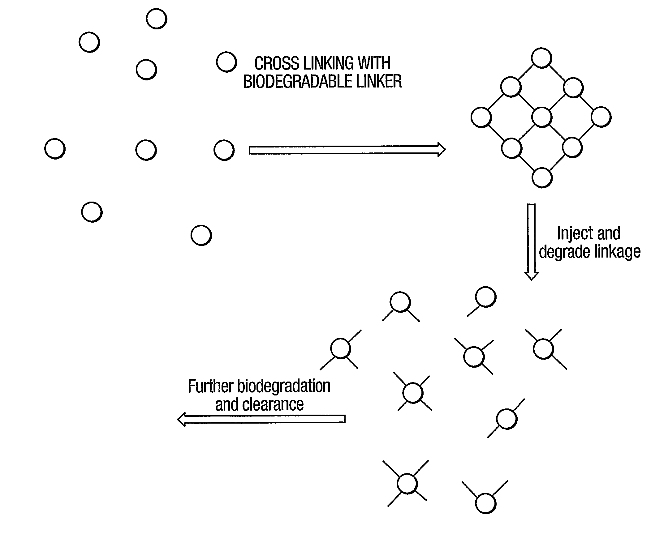 Multimeric Particles