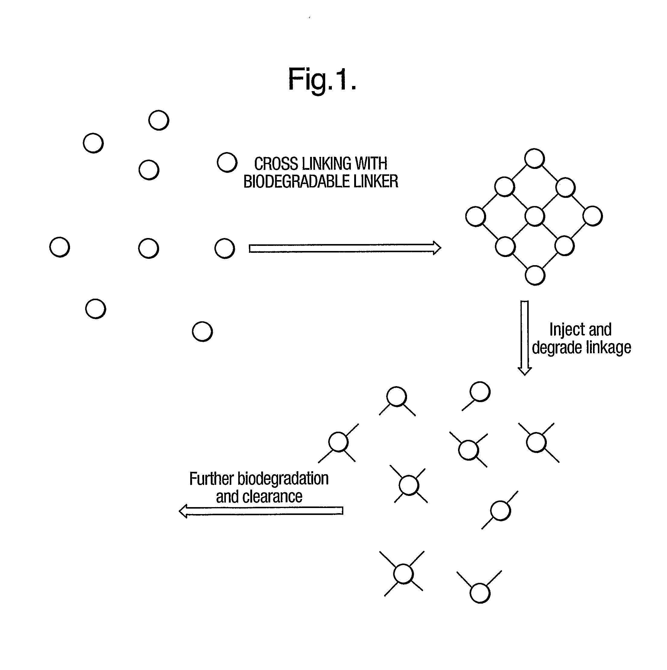 Multimeric Particles