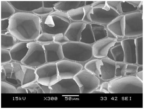 Light high-strength polylactic acid foam material and method for preparing same