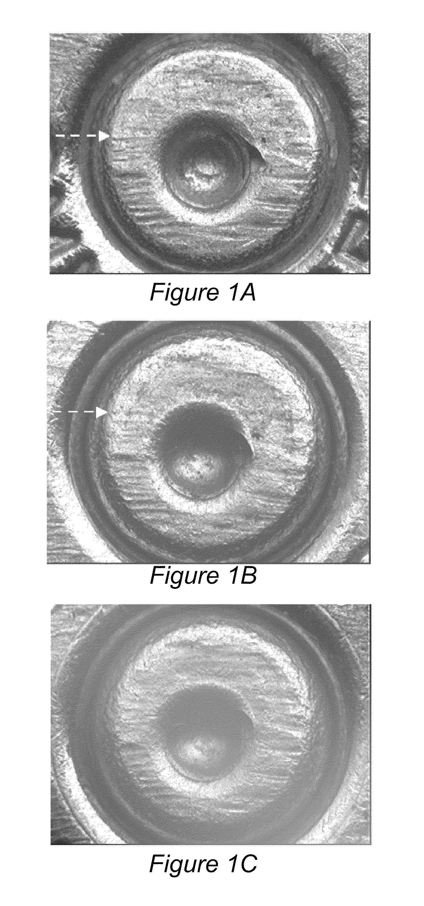 Method and apparatus for alignment, comparison and identification of characteristic tool marks, including ballistic signatures