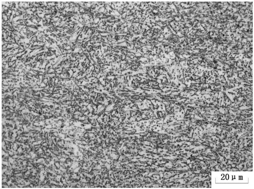 Thick-specification pipeline steel cooling method