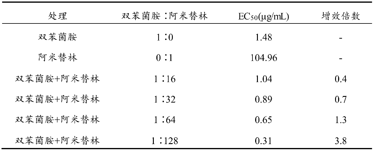 Application of amitriptyline as bactericidal synergist in plant disease control