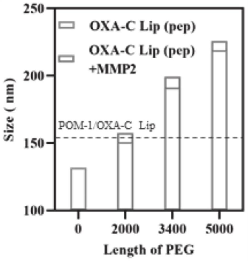 PH-sensitive liposome as well as preparation method and application thereof