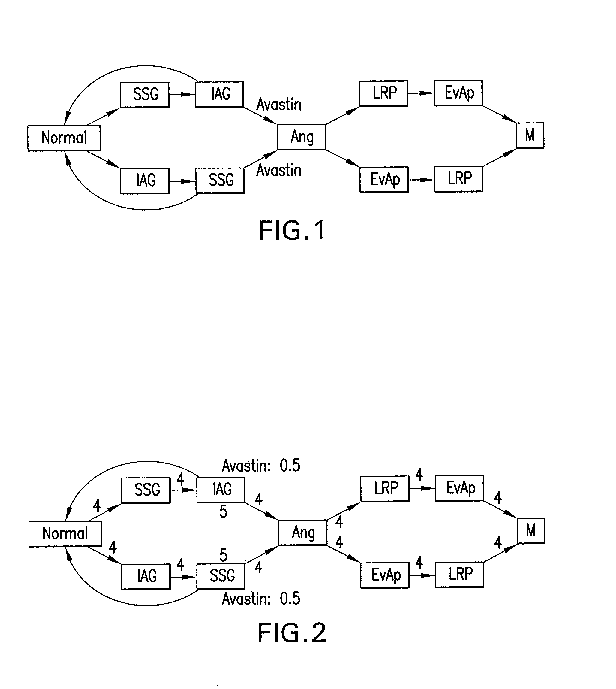 Process, computer-accessible medium and system for obtaining diagnosis, prognosis, risk evaluation, therapeutic and/or preventive control based on cancer hallmark automata