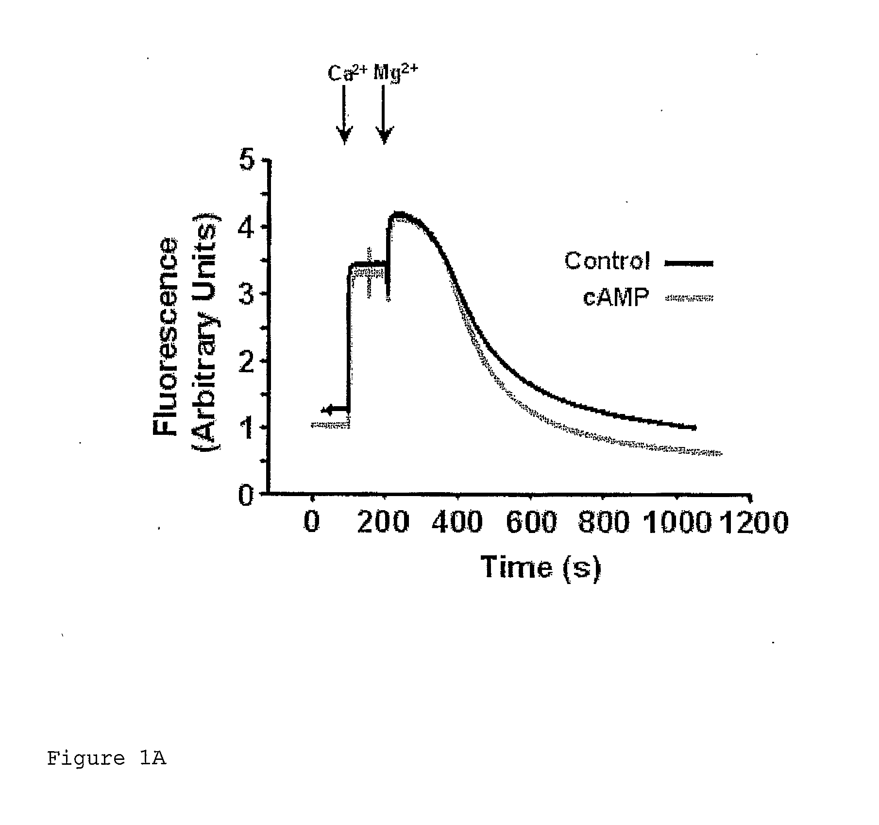 Assay system