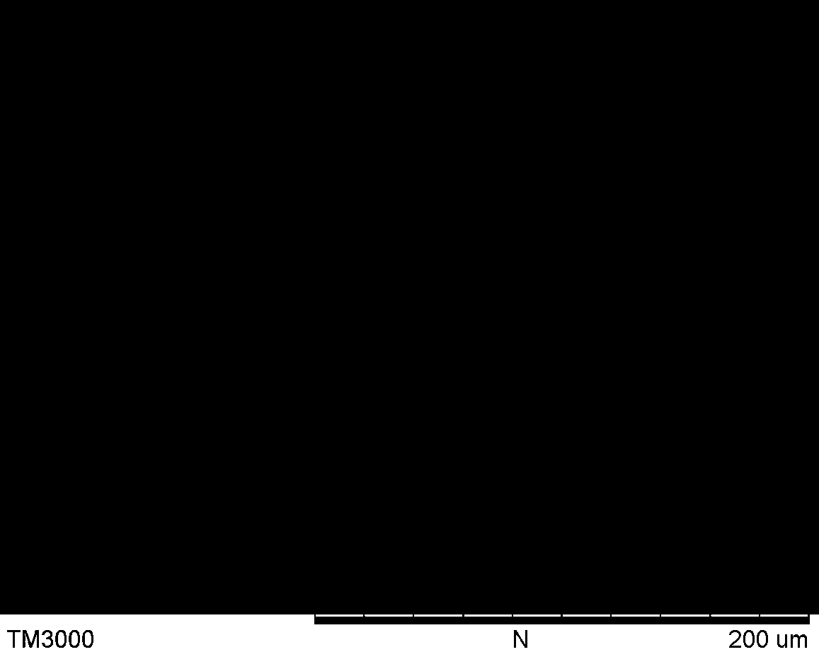 A soft magnetic composite material with high permeability and low loss and a preparation method thereof