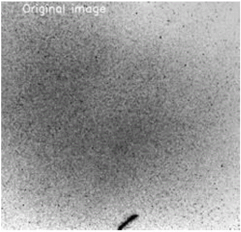 Target extraction and flat-field correction method for imaging system with large difference in gain