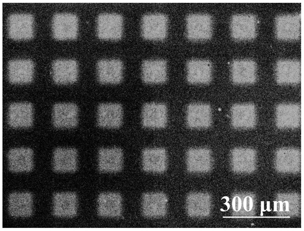 Functional organic silicon resin for protein adsorption and light-operated desorption and preparation method of functional organic silicon resin