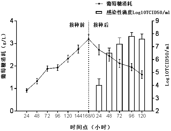 Optimizing process method for amplifying influenza virus H1N1 through bioreactor