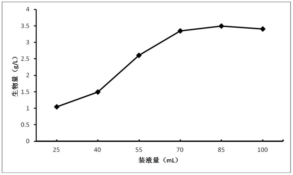 A kind of culture medium for Monascus fermented koji species and its cultivation method and preparation method of Monascus vinegar