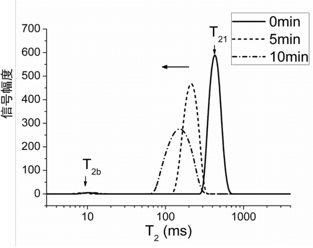 Method for determination of gelation time by low field nuclear magnetic resonance technology