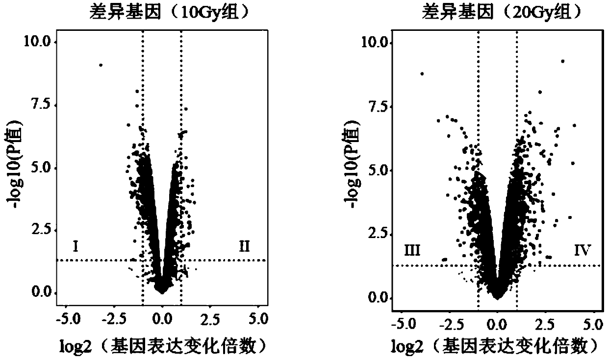 Radiosensitive gene marker and application thereof in X-ray radiation dose monitoring