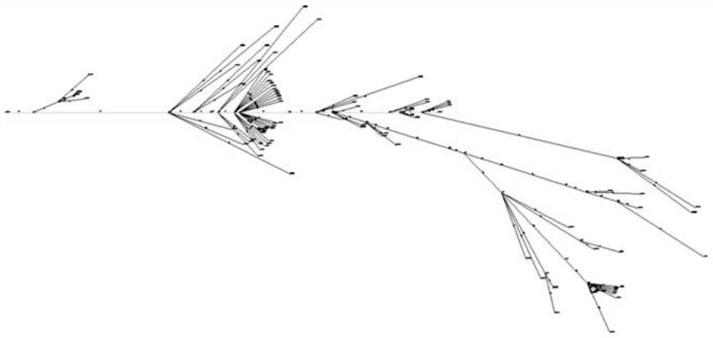 Complex wiring harness tool plate design system