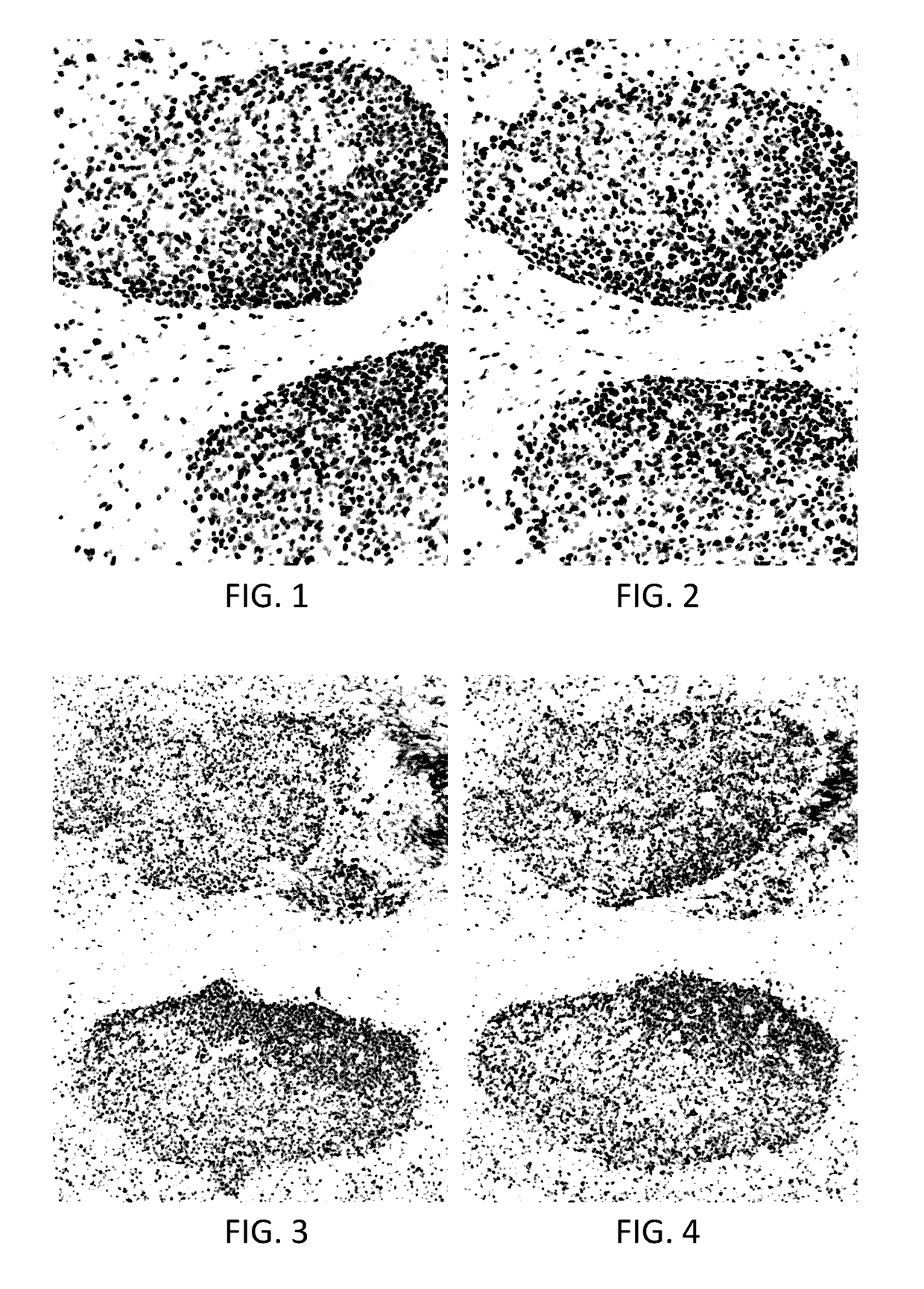 Polymer stabilization of chromogen solutions