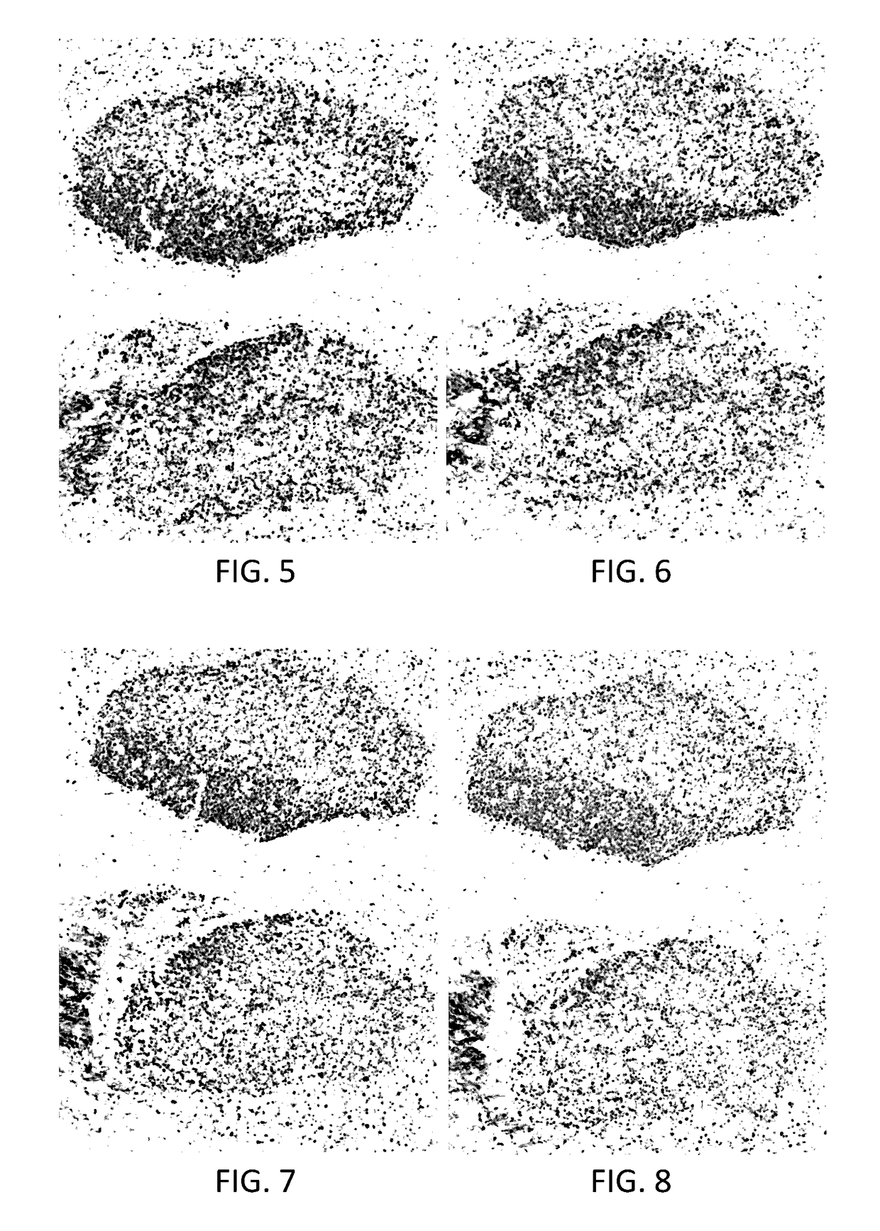 Polymer stabilization of chromogen solutions