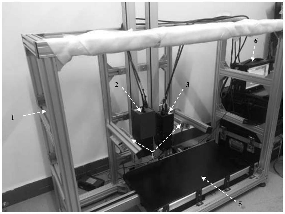 Method for predicting the content of p-hydroxybenzoic acid in Lycium barbarum based on hyperspectral imaging technology