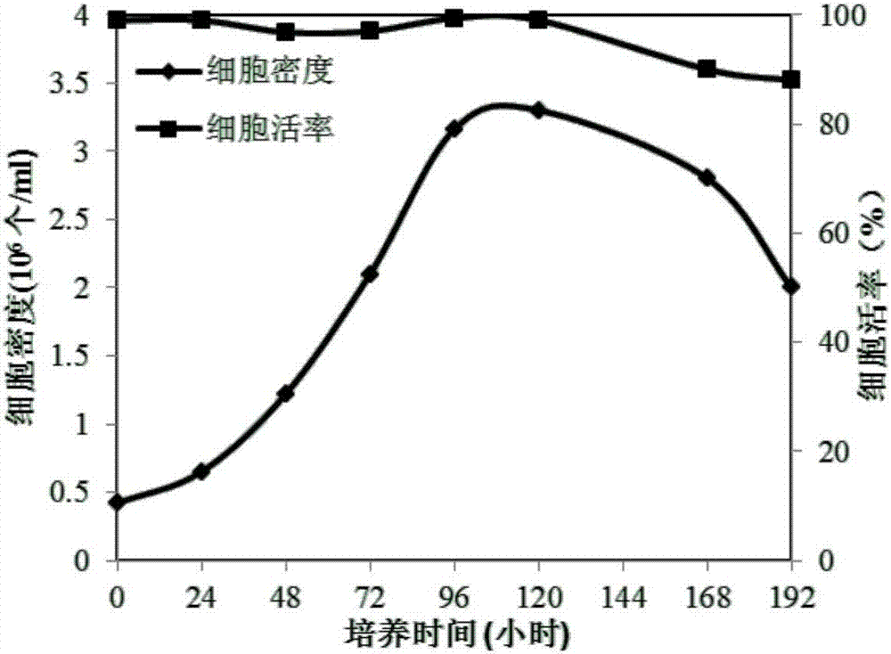 Serum-free whole suspension MDCK cell strain and application thereof to production of influenza viruses