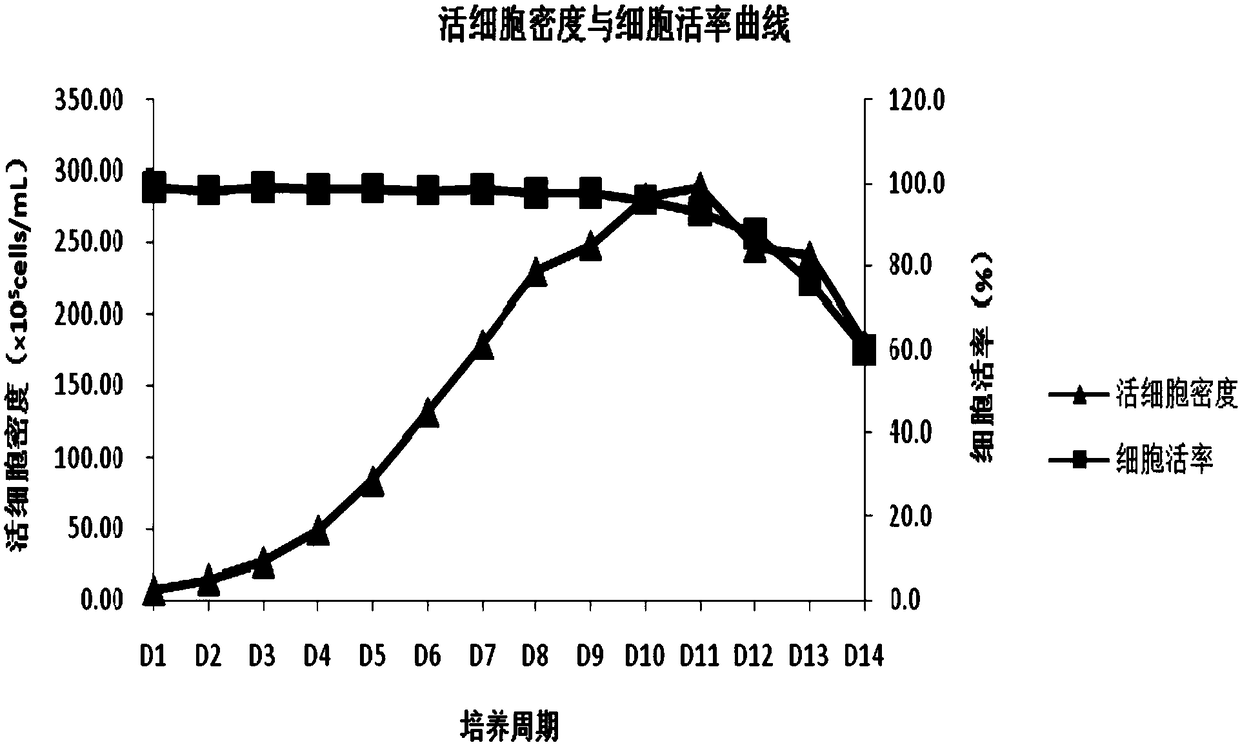 Large-scale production and culture method for mammalian cells