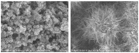 Preparation method and application of oxygen vacancy containing manganese/sulfur dioxide composite