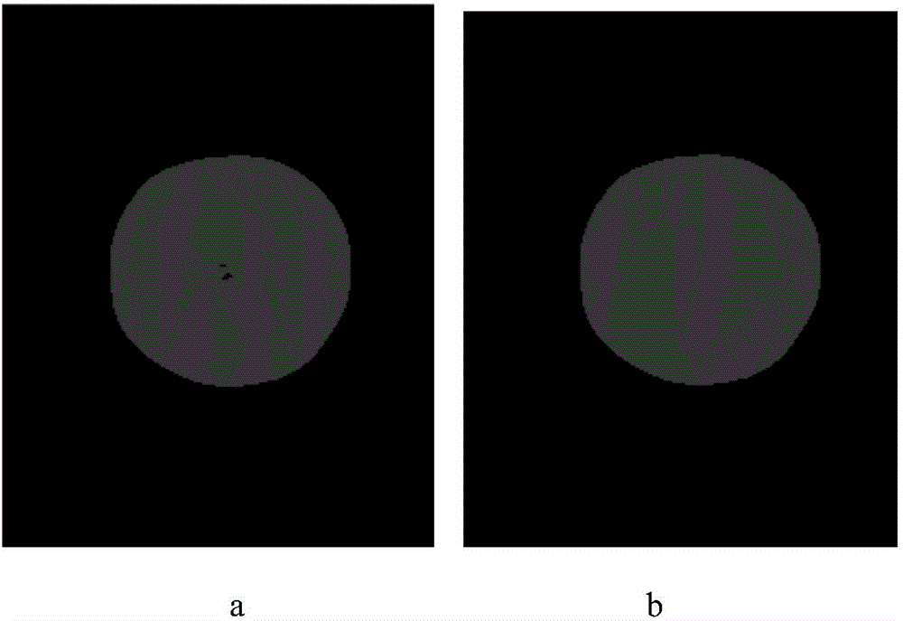 Rapid apple variety identification method based on hyperspectral imaging