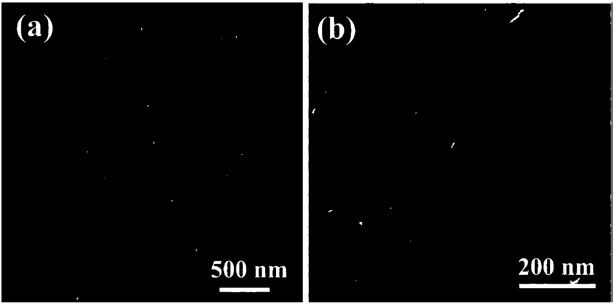 Liquid-state electrolyte-based secondary lithium battery without negative electrode