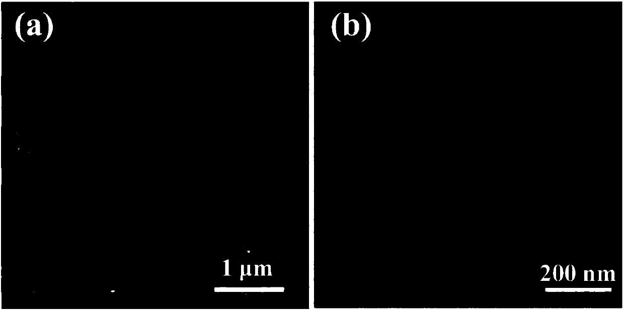 Liquid-state electrolyte-based secondary lithium battery without negative electrode