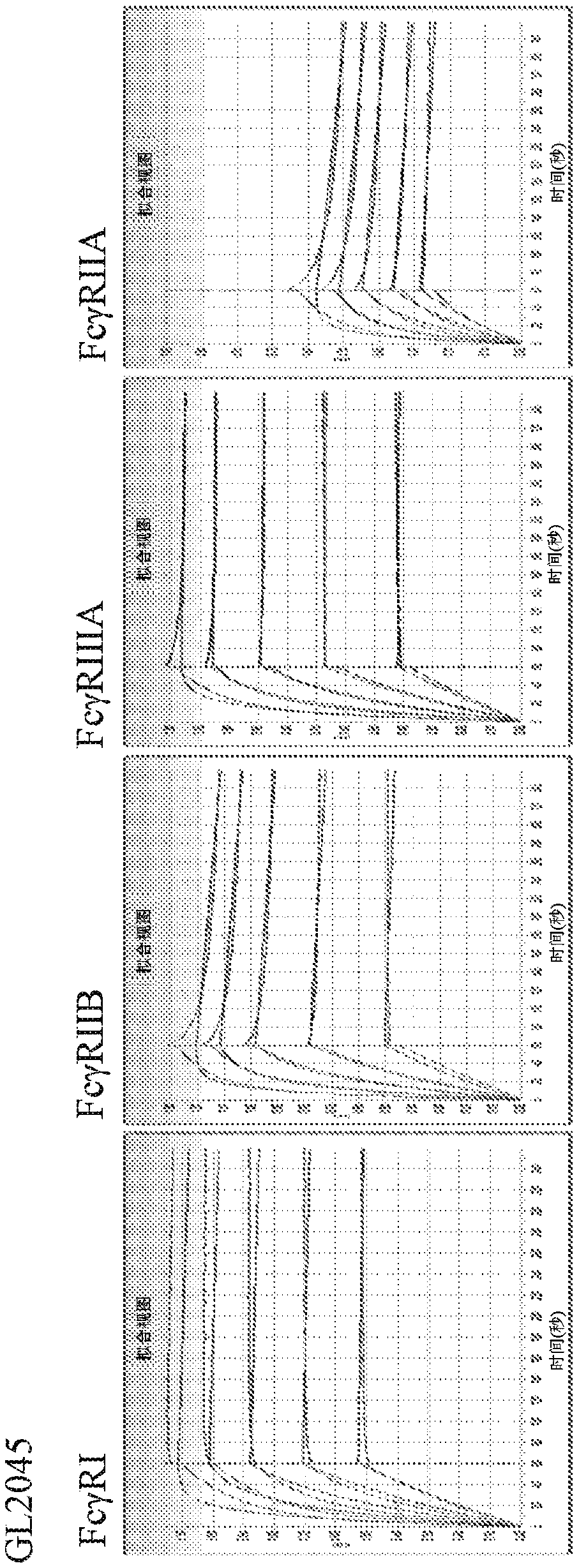 Fusion proteins of human protein fragments to create orderly multimerized immunoglobulin Fc compositions with enhanced Fc receptor binding