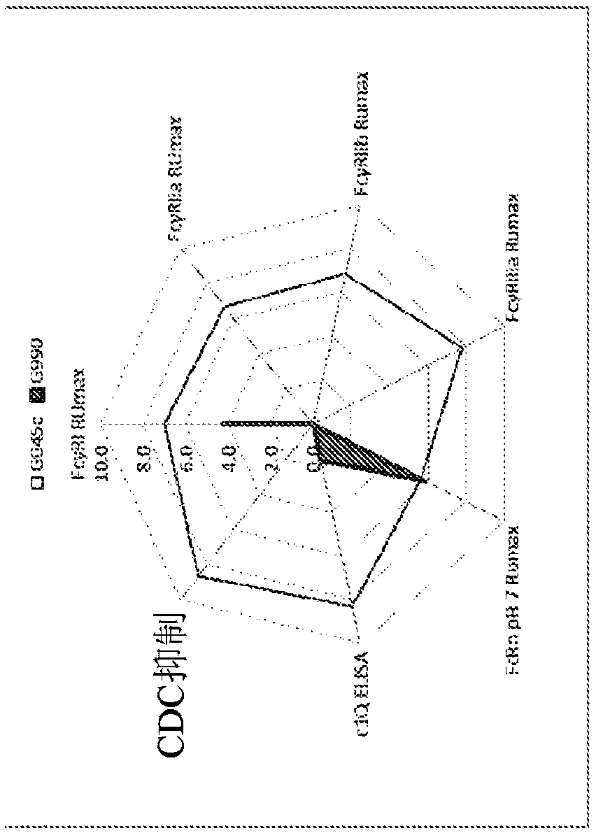 Fusion proteins of human protein fragments to create orderly multimerized immunoglobulin Fc compositions with enhanced Fc receptor binding