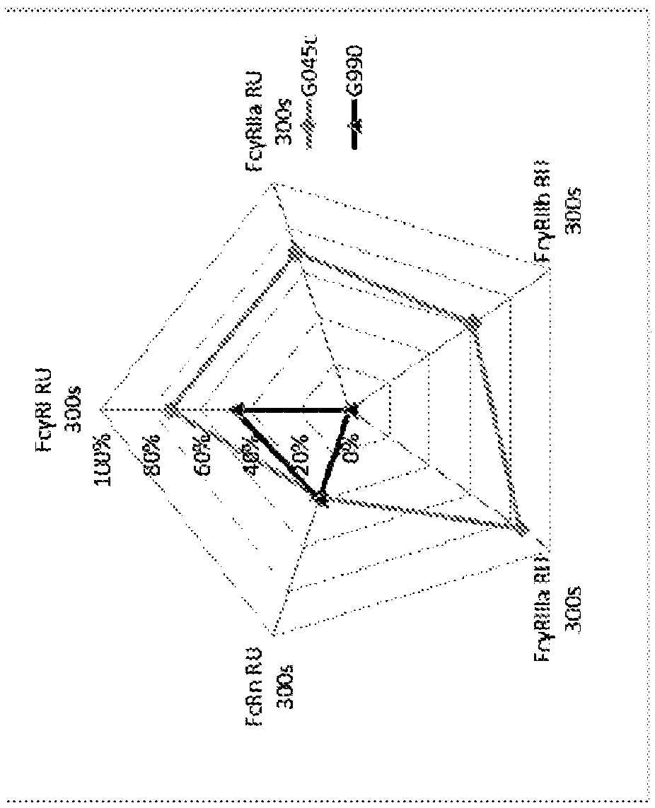 Fusion proteins of human protein fragments to create orderly multimerized immunoglobulin Fc compositions with enhanced Fc receptor binding