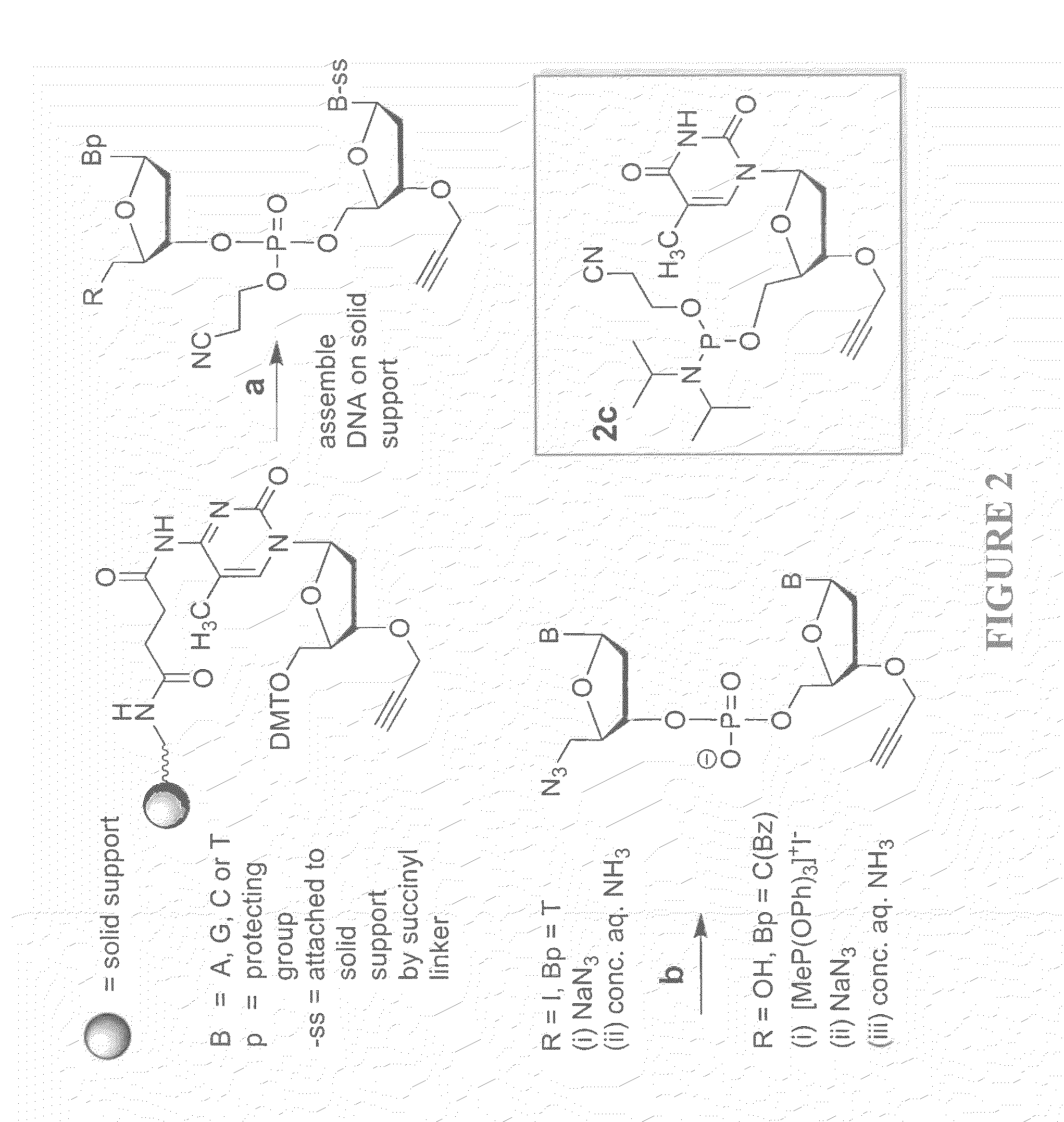 Oligonucleotide ligation