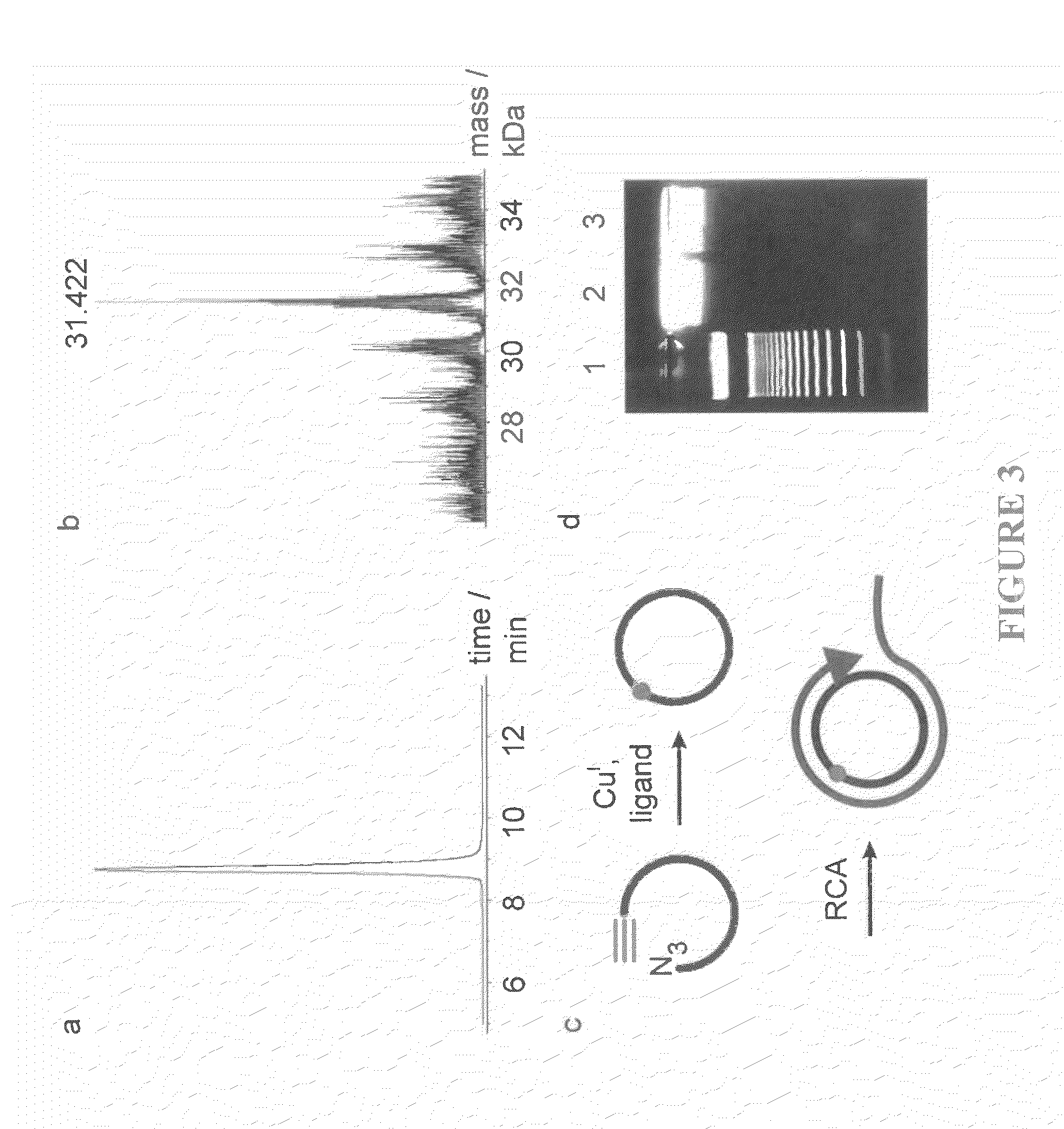 Oligonucleotide ligation